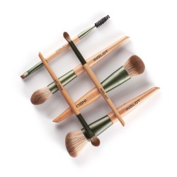 Brush set 6 pc green