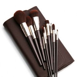 BRUSH SET 10 COPICEV + ETUI